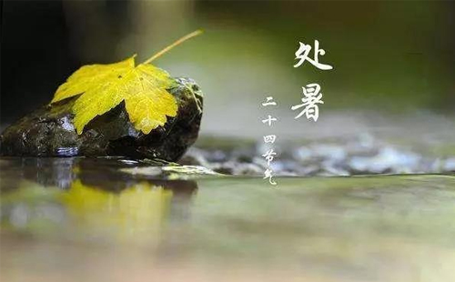 处暑已至，秋风送爽丨晨钟星工贸与您共启精准制造新篇章